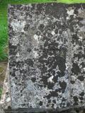 image of grave number 82111